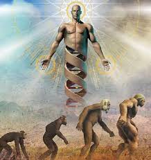 Darwin e a Polêmica EVOLUÇÃO!